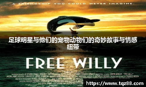 关键词2