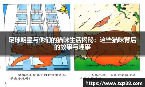 关键词4