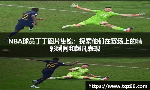 NBA球员丁丁图片集锦：探索他们在赛场上的精彩瞬间和超凡表现